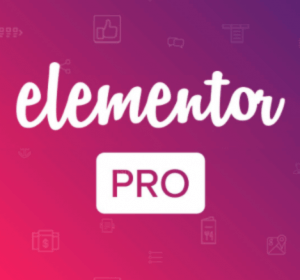 Elementor Pro